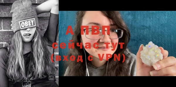 прущий лед Белокуриха