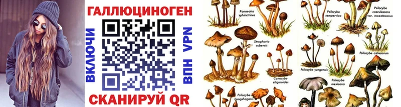Галлюциногенные грибы мухоморы  где купить   Богданович 