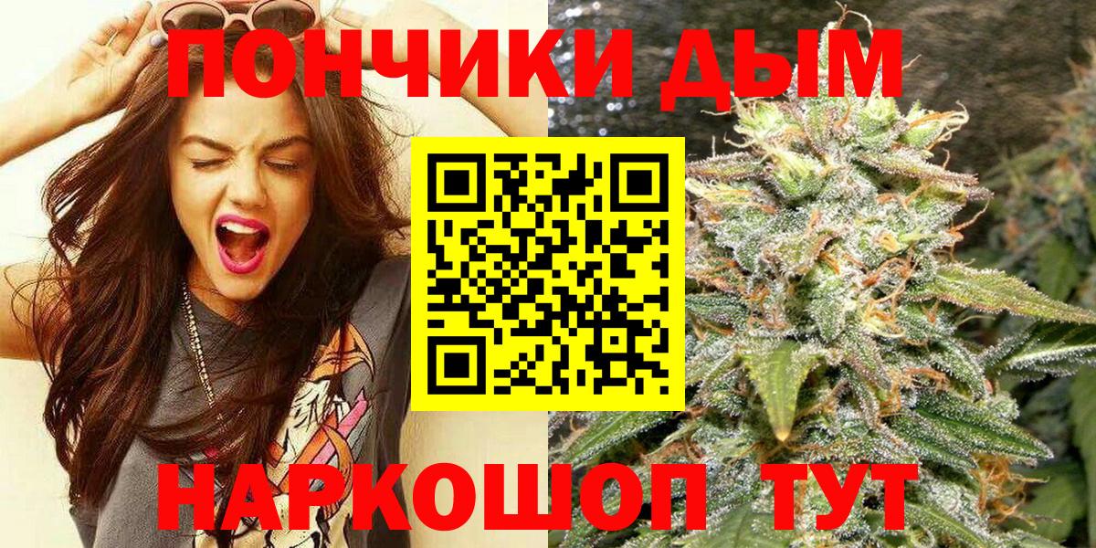 Бошки марихуана ГИДРОПОН  Канабис сатива  Богданович  Конопля SATIVA & INDICA  Вход с VPN 